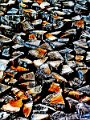 abstrakt (53)